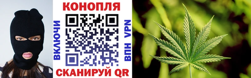 Канабис план  где продают   Можайск 